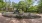 a playground and trees